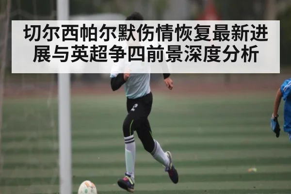切尔西帕尔默伤情恢复最新进展与英超争四前景深度分析